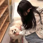 artifact手游破解版下载